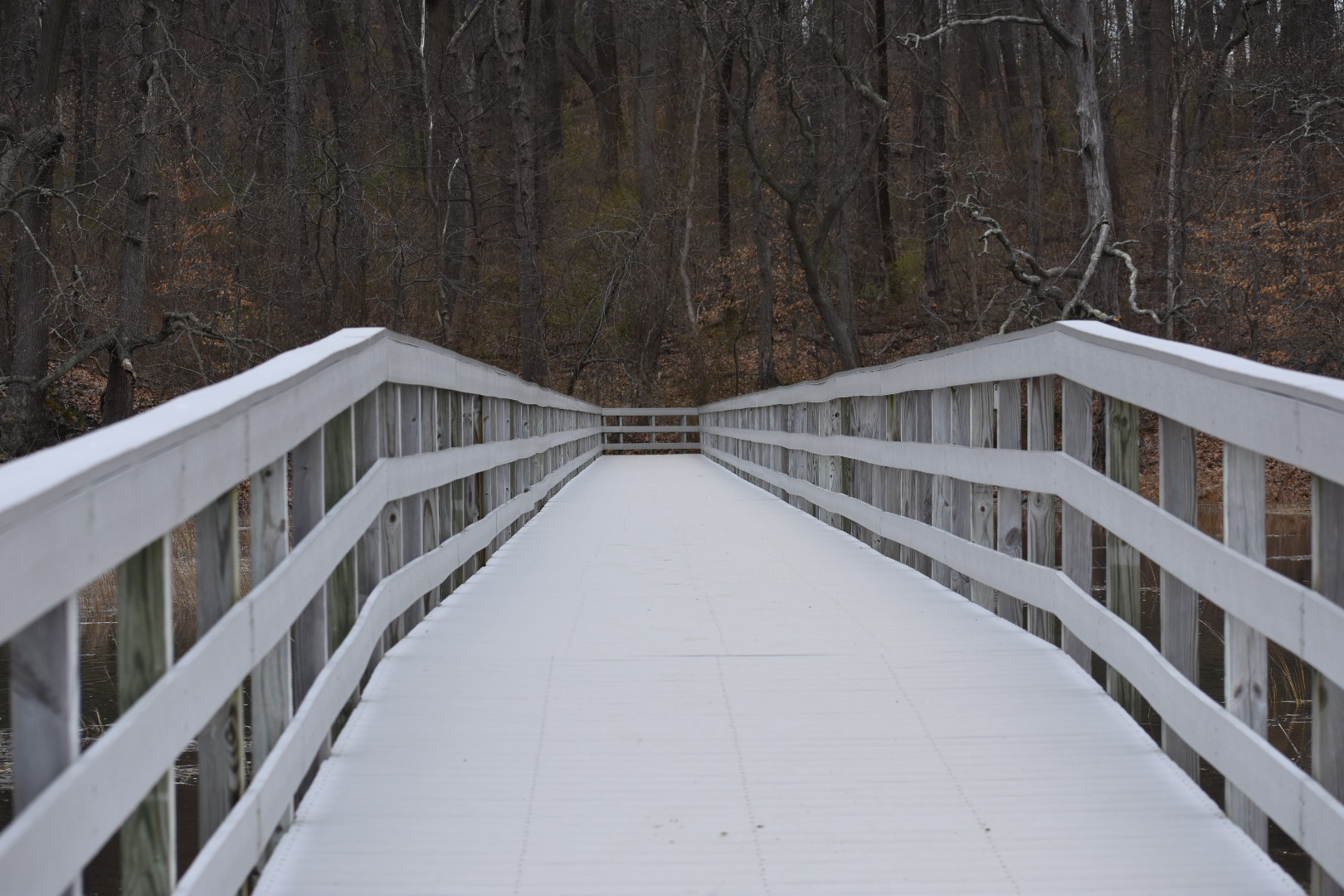 Sagamore Hill National Historical Site - The Tail Guide