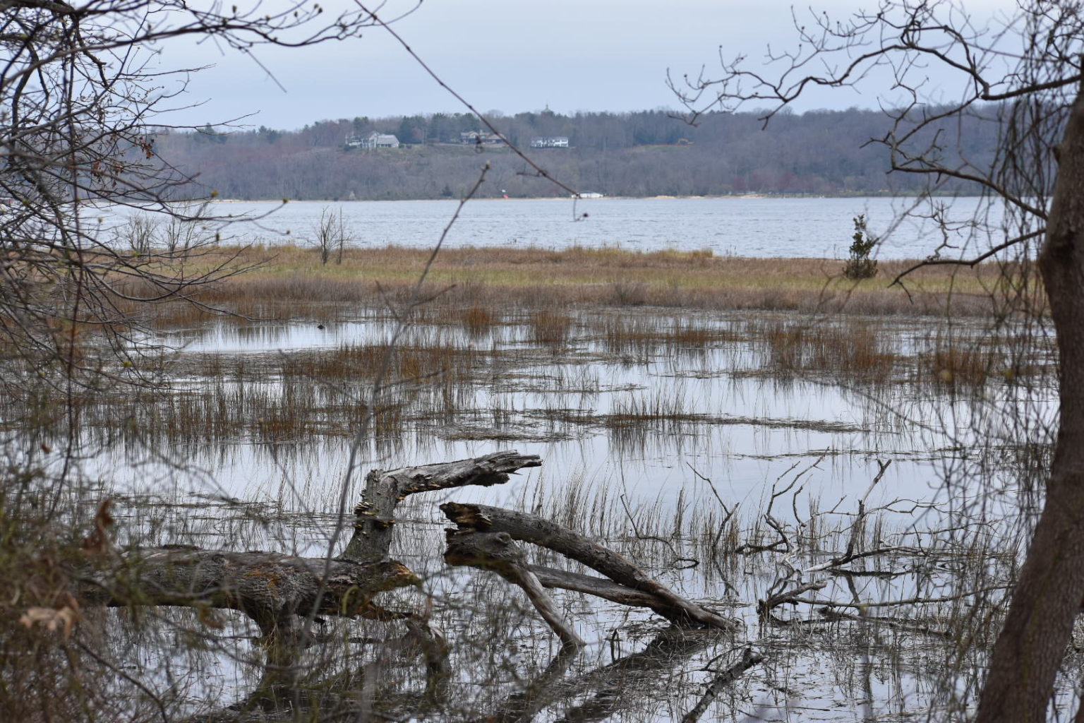 Sagamore Hill National Historical Site The Tail Guide