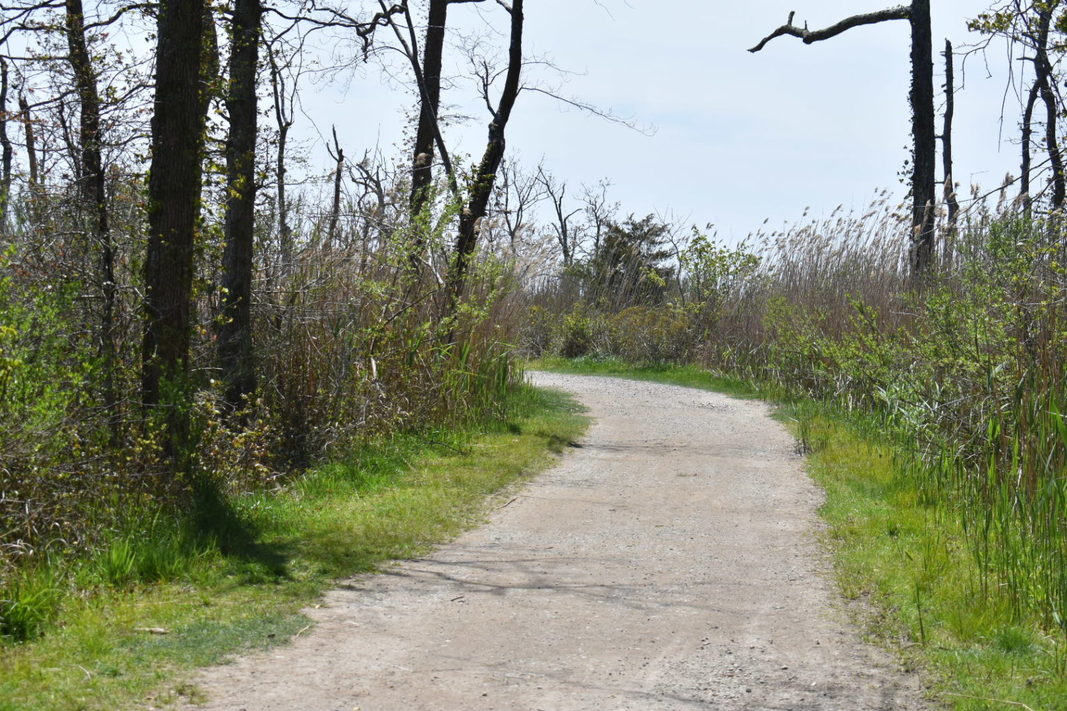 Heckscher State Park The Tail Guide