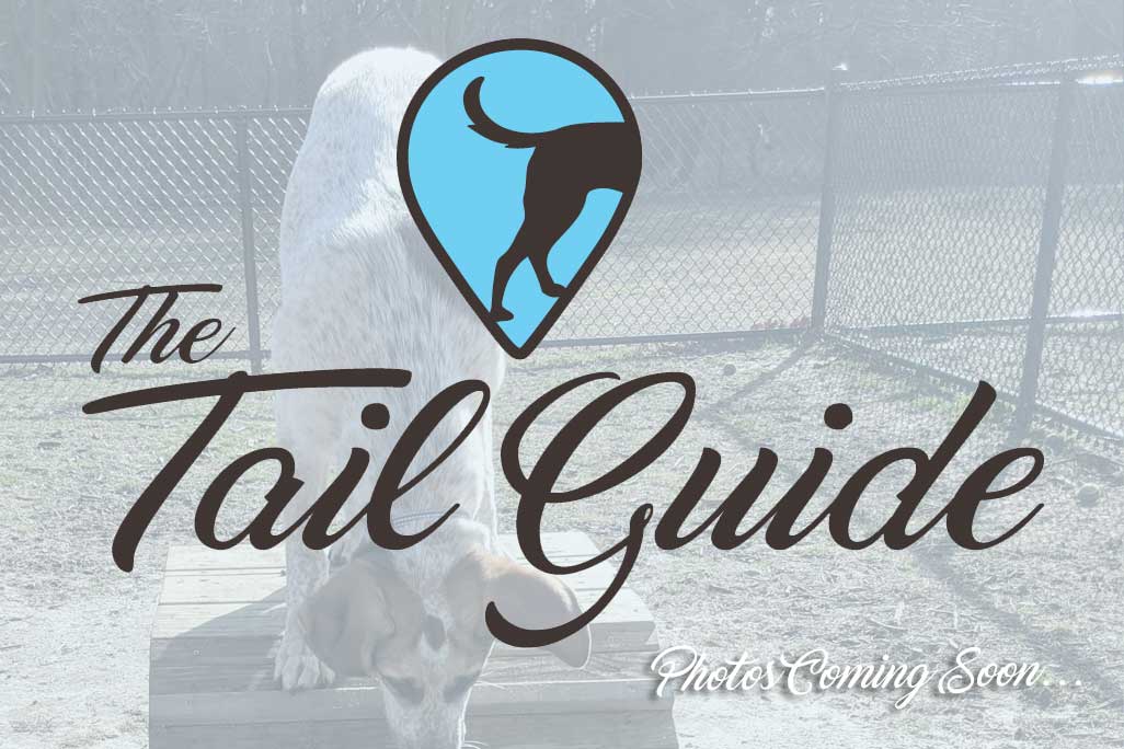 Blydenburgh County Park - The Tail Guide