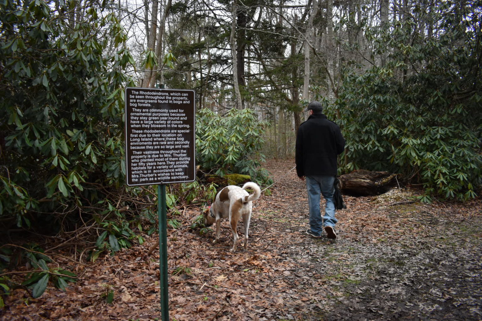 Brookside County Park - The Tail Guide