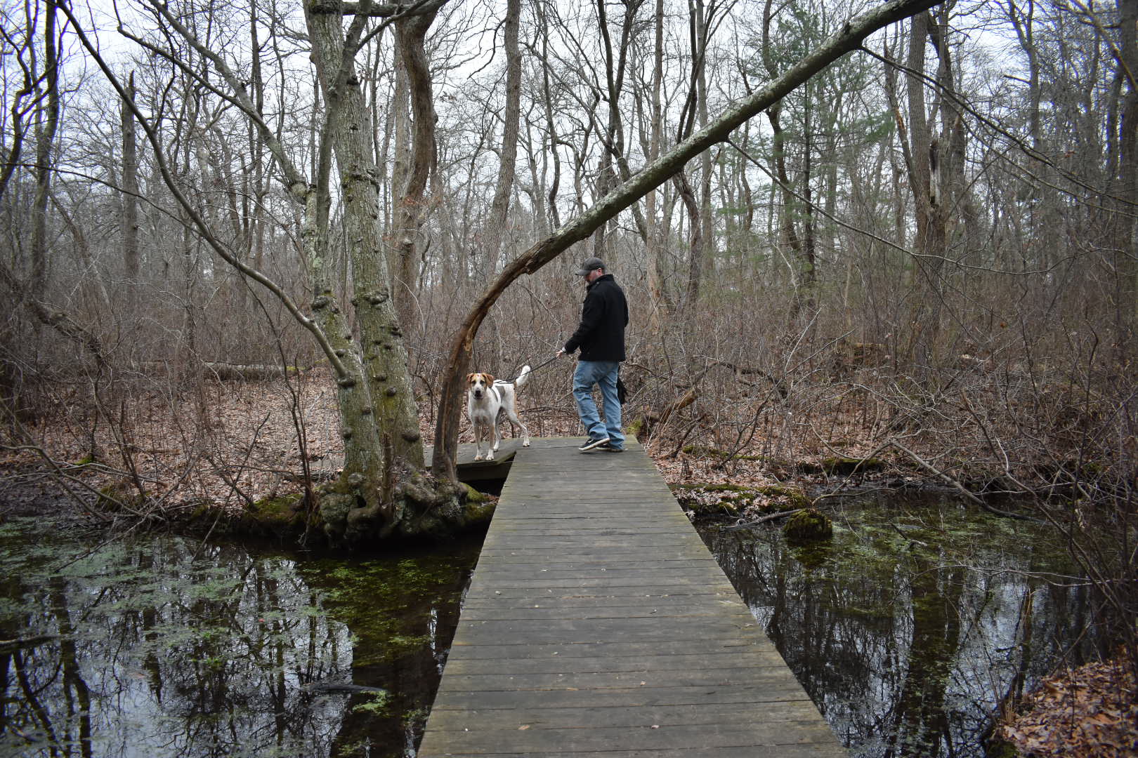 Brookside County Park - The Tail Guide